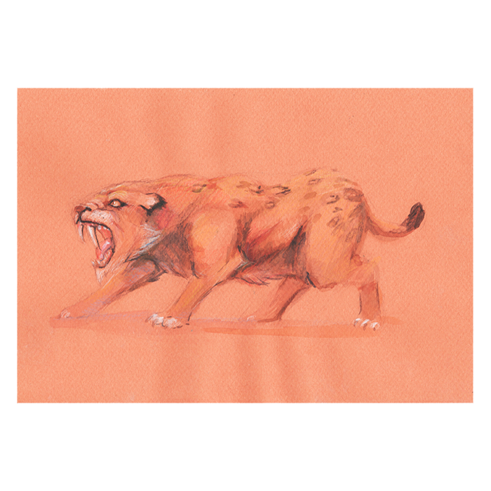 prehistoria_dientes_sable